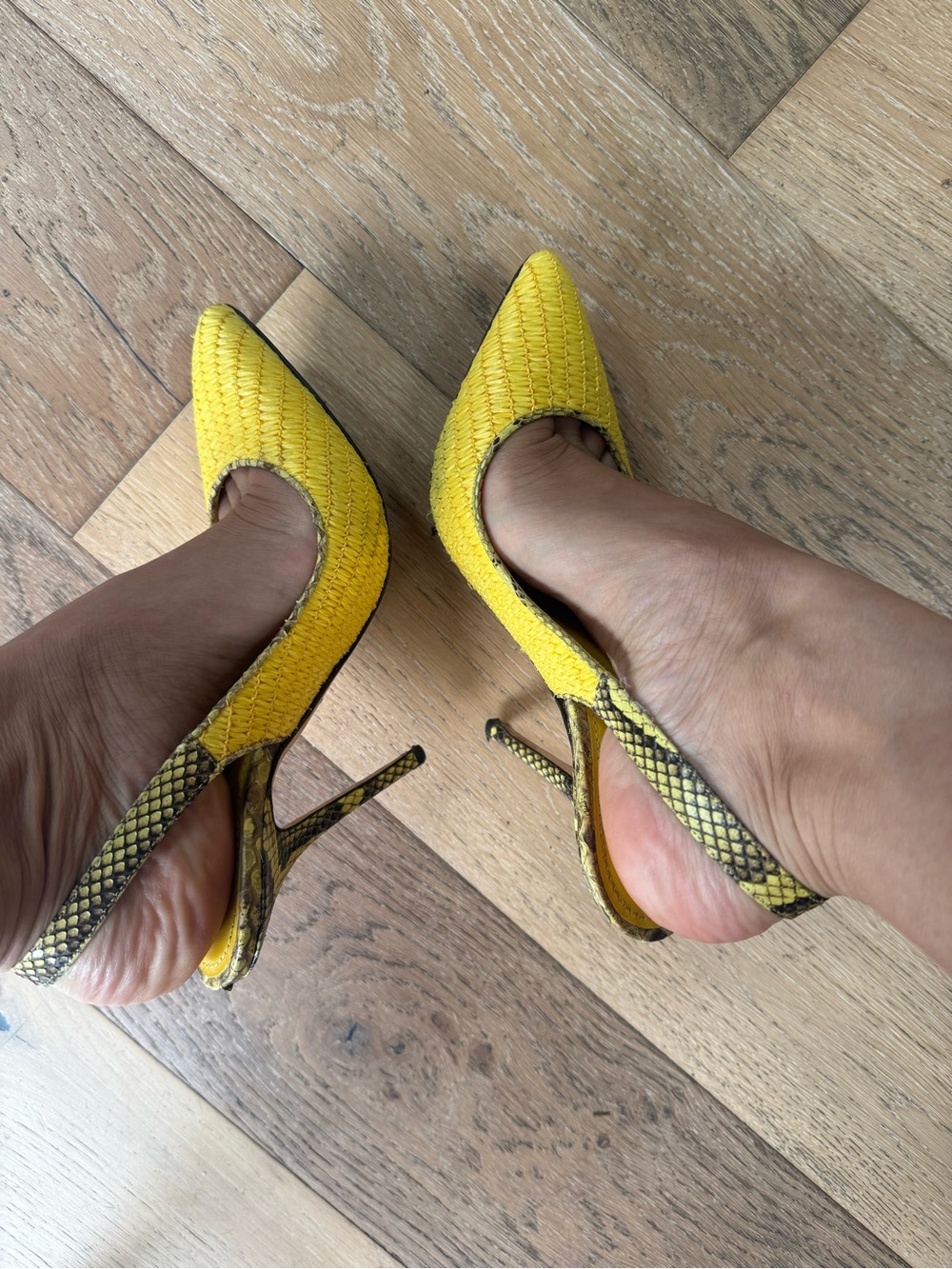 Authentic Dolce & Gabbana Yellow Woven Pointed Slingback Pumps with Snake-Print
